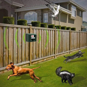 Skanto | Woodpecker Ultrasonic Repeller for Effective Bird Control - Bli kvitt hakkespetter
