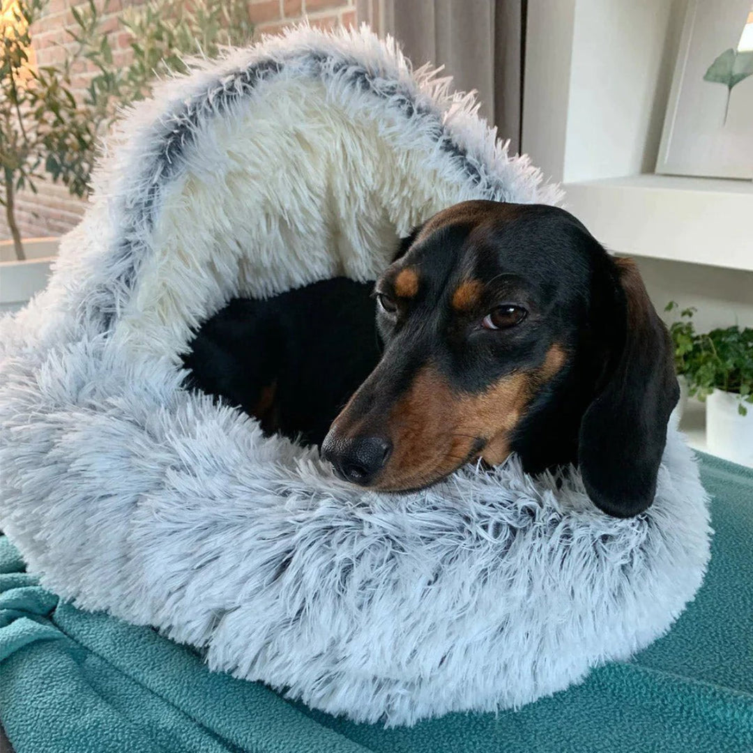 Skanto | Cozy Cave Pet Bed | Beroligende og Komfortabel Hundeseng for Dyp Avslapning