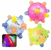 Skanto | Ny Jumping Activation Ball For Dogs