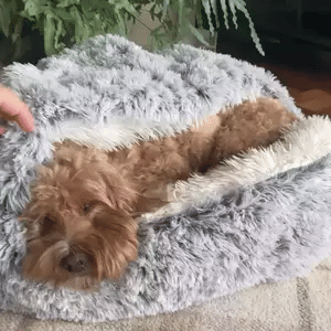 Skanto | Cozy Cave Pet Bed | Beroligende og Komfortabel Hundeseng for Dyp Avslapning