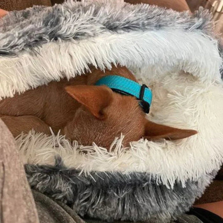 Skanto | Cozy Cave Pet Bed | Beroligende og Komfortabel Hundeseng for Dyp Avslapning