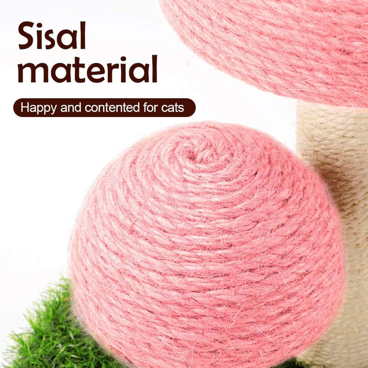 Sisal Katt Soppskrapepost Skanto