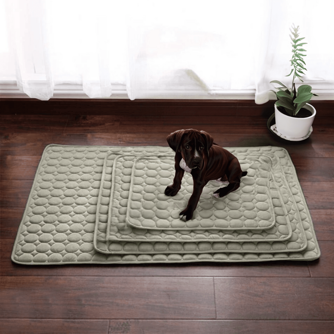 Frendorf | Innovativ Kjølematte for Hunder (4x Kjølekraft) - ChillComfort