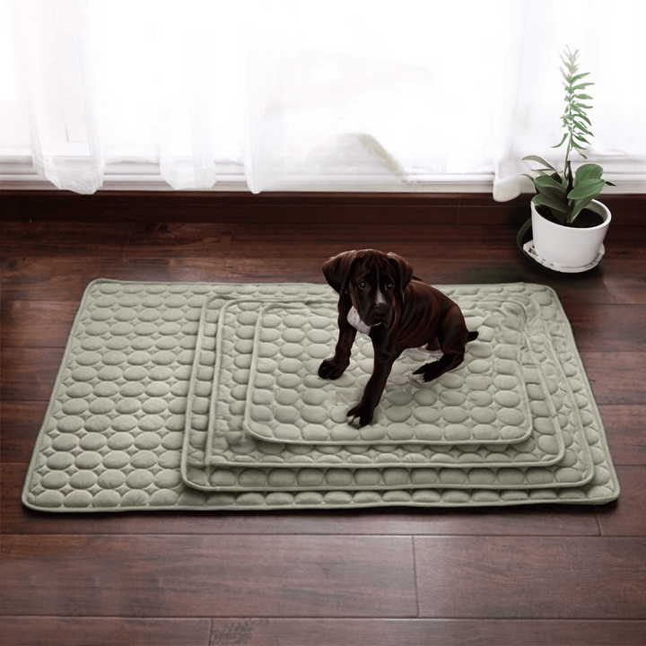 Frendorf | Innovativ Kjølematte for Hunder (4x Kjølekraft) - ChillComfort