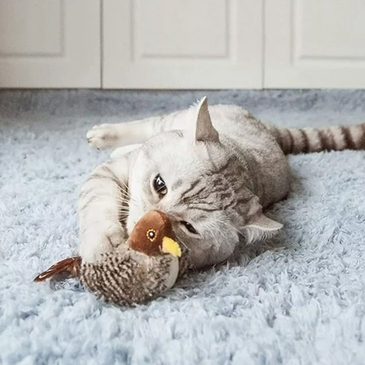 Interaktiv kattleketøy - ChirpBird Skanto