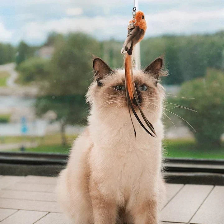 Interaktivt Kattelek - FlutterFriend Skanto