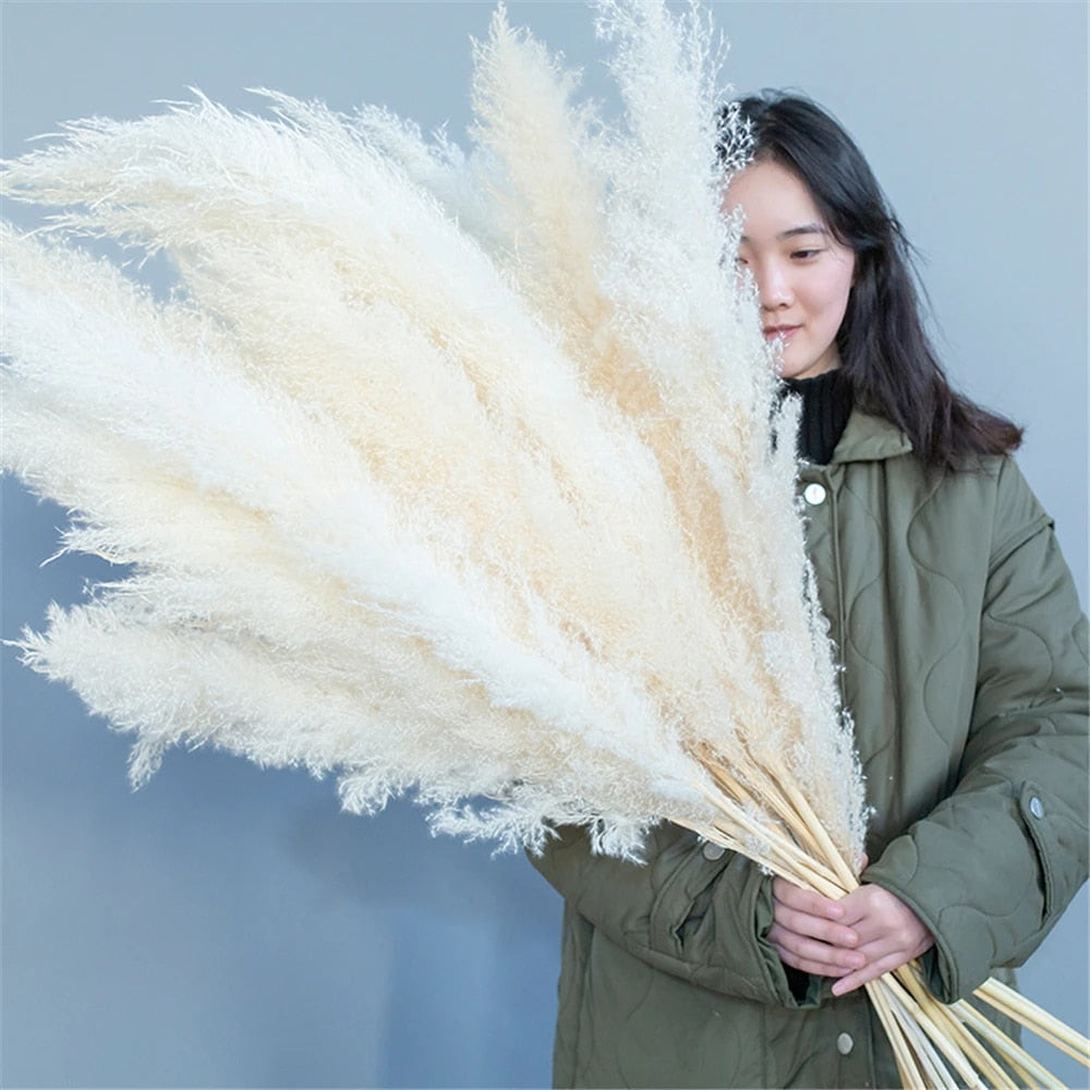 Skanto | FeatherFawn - Tørkede Pampasblomster