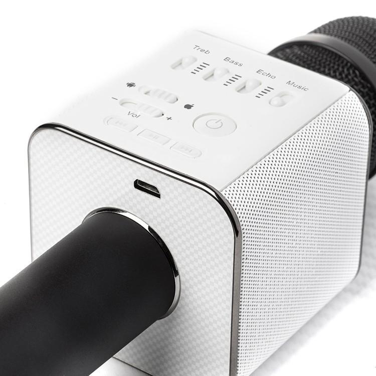 Karaoke Mikrofonn Bluetooth med Høyttaler | Skanto
