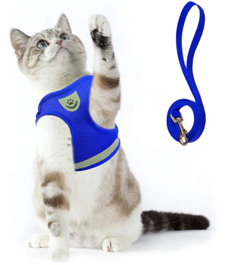 Explorer Harness med Leash Skanto