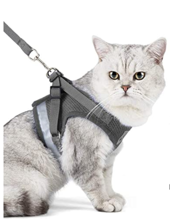 AdventureKit - Sikker sele for eventyrlystne katter Skanto