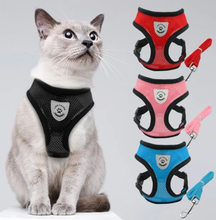AdventureKit - Sikker sele for eventyrlystne katter Skanto
