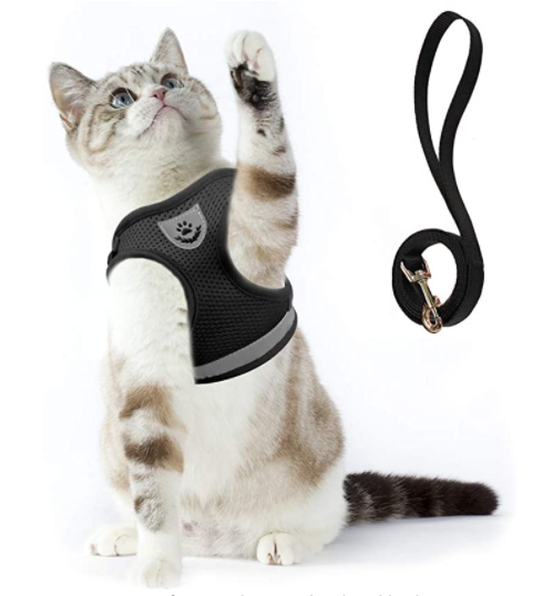AdventureKit - Sikker sele for eventyrlystne katter Skanto