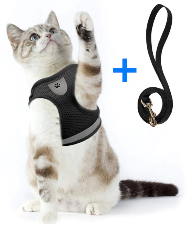 AdventureKit - Sikker sele for eventyrlystne katter Skanto