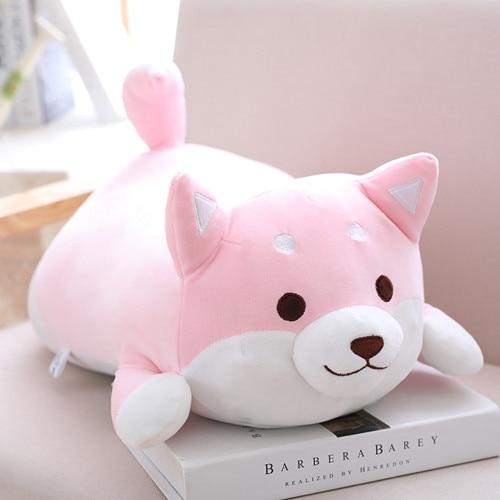 Skanto | Pompete Shiba Inu