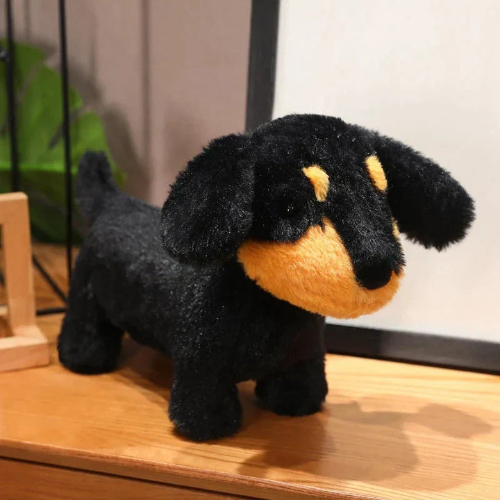 Skanto | Dachsund Pølsehund Plussjegg