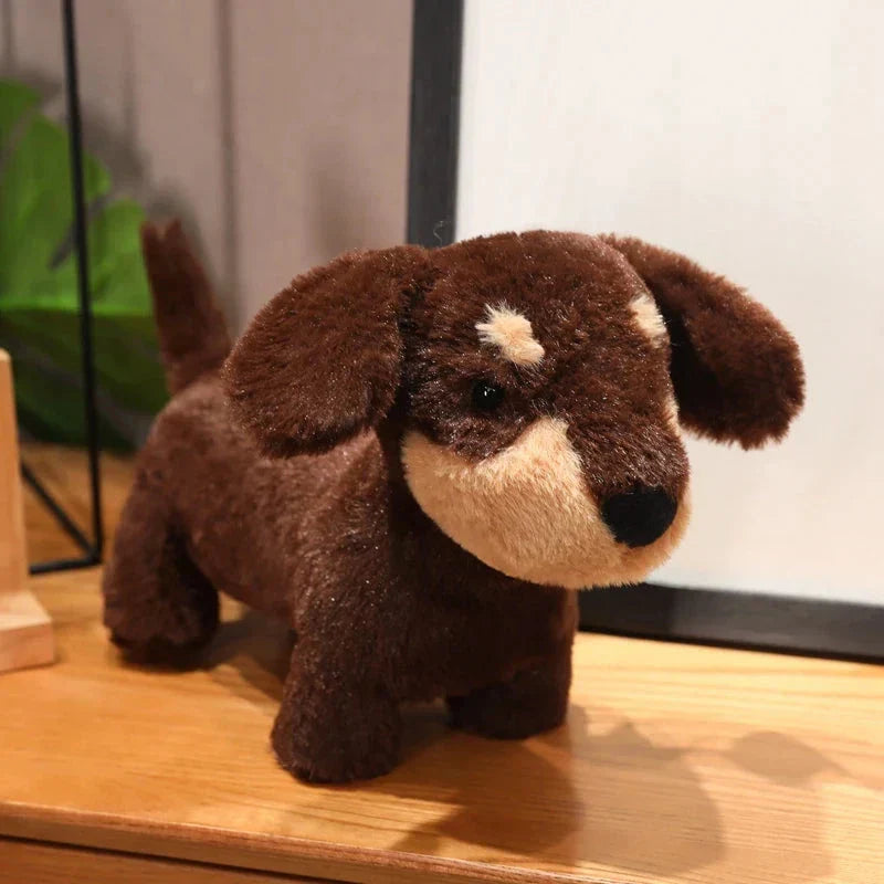 Skanto | Dachsund Pølsehund Plussjegg