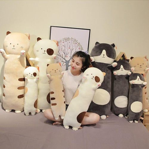 Skanto | Lang Snuggly Kitty Buddies