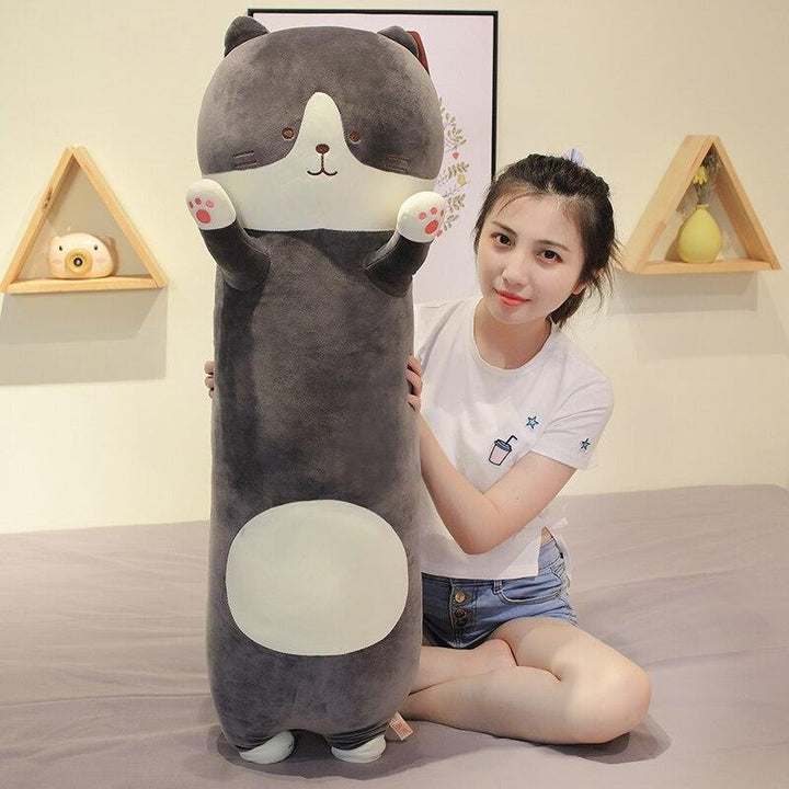 Skanto | Lang Snuggly Kitty Buddies