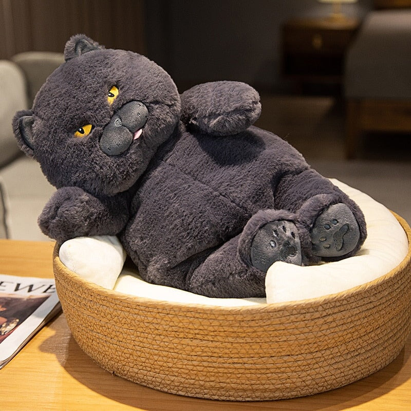 Skanto | Poe den grimme katten plushfigur