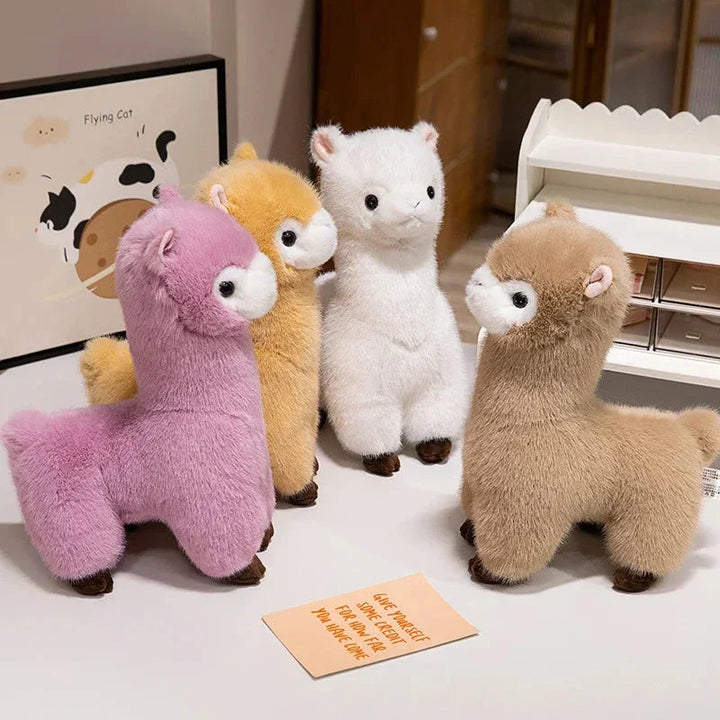 Skanto | Pompom Alpaca Kosedyr Familie