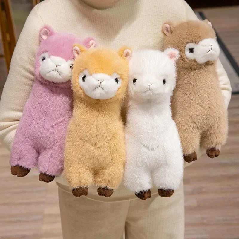 Skanto | Pompom Alpaca Kosedyr Familie