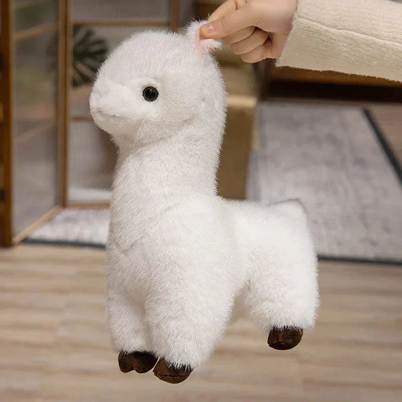 Skanto | Pompom Alpaca Kosedyr Familie