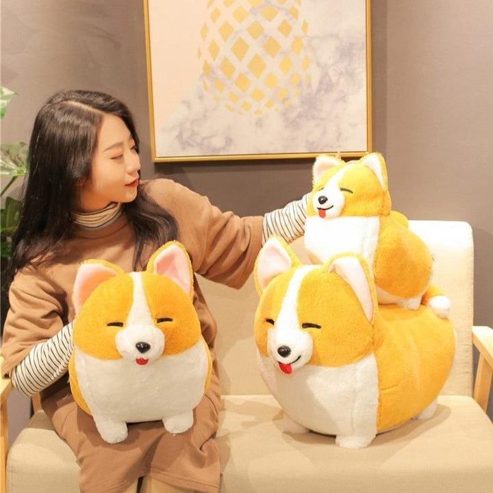 Skanto | Dronningens Corgis