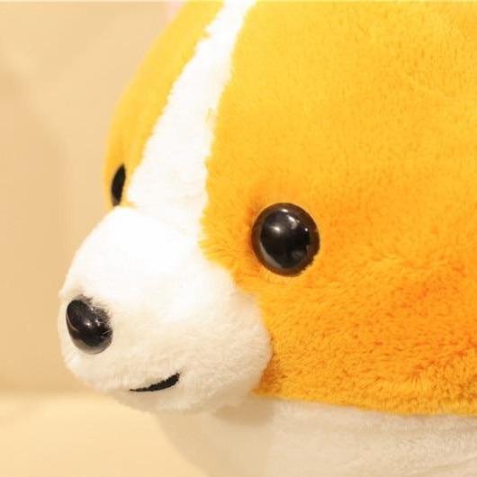 Skanto | Dronningens Corgis