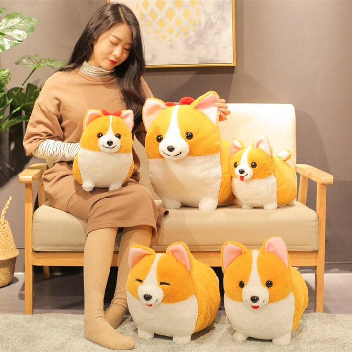 Skanto | Dronningens Corgis