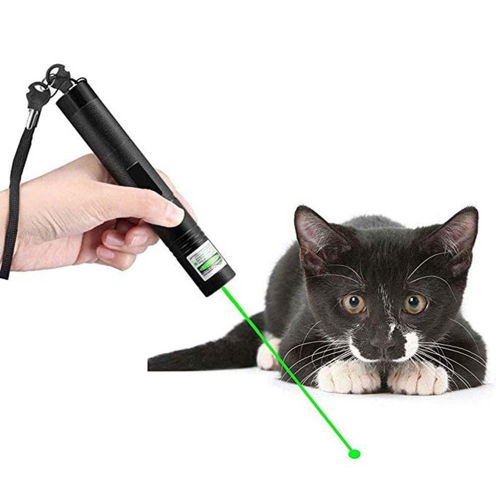 Skanto | Høyytelses Laserpointer 303