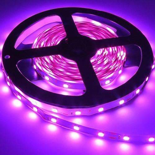 Skanto | 3528 LED Strips Lys 12V 5M 300 Leds - Sørg for at detaljen er perfekt