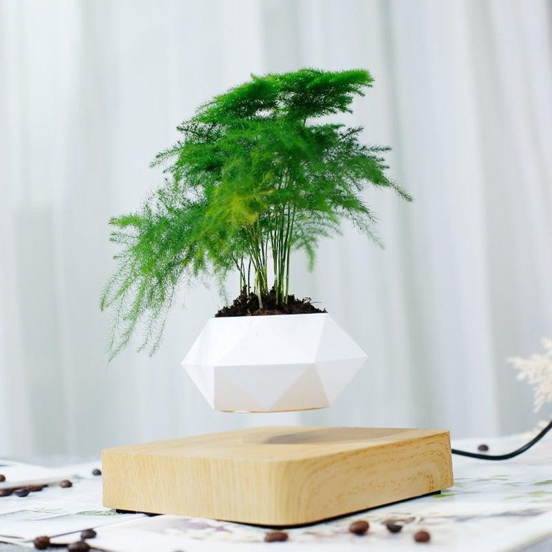 Skanto | Flytende Luft Bonsai Potte