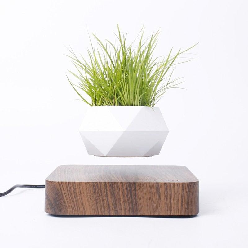 Skanto | Flytende Luft Bonsai Potte