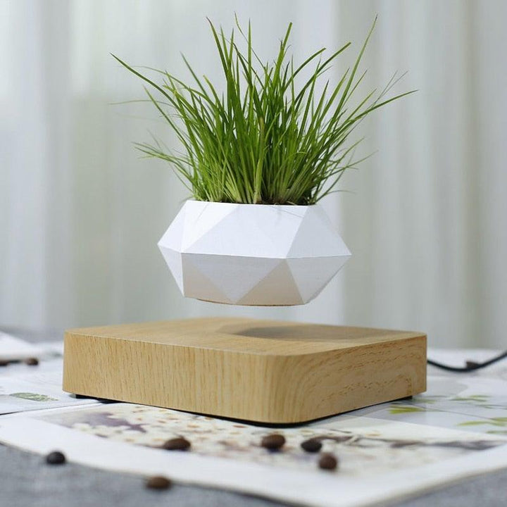 Skanto | Flytende Luft Bonsai Potte