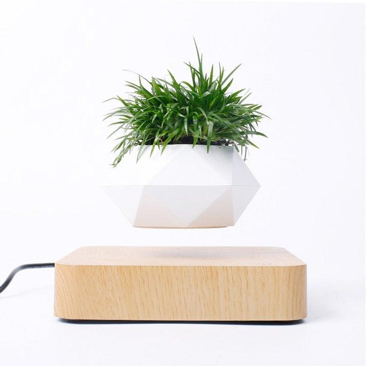 Skanto | Flytende Luft Bonsai Potte