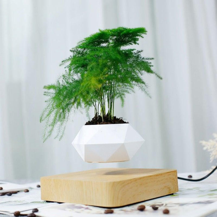 Skanto | Flytende Luft Bonsai Potte