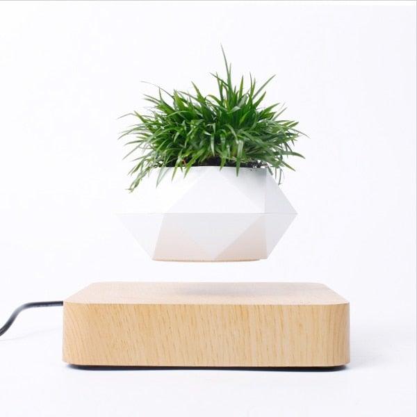 Skanto | Flytende Luft Bonsai Potte