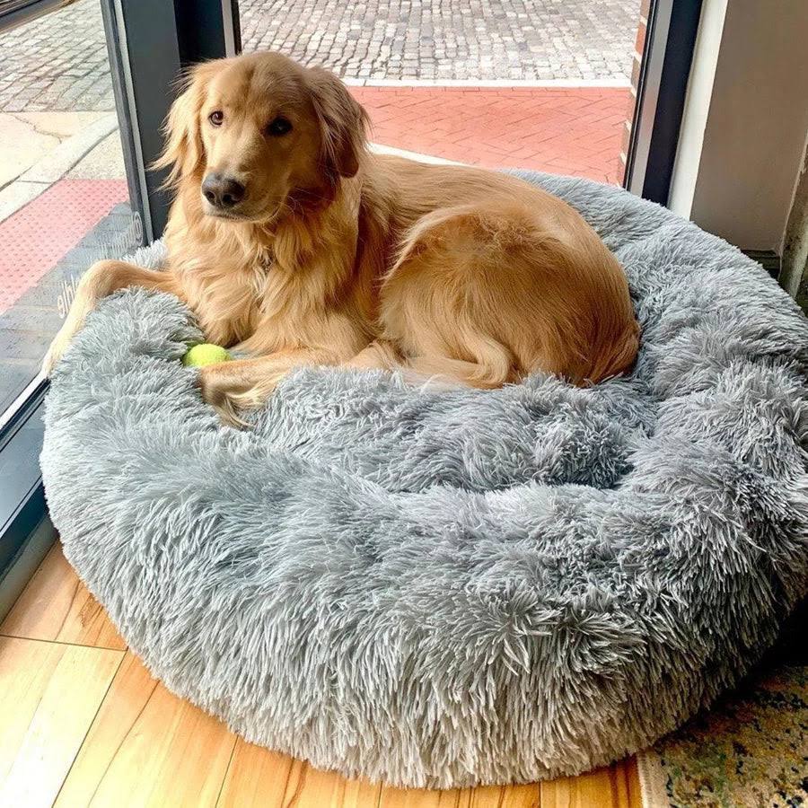 Skanto | Ortopedisk Plysj Donut Hundeseng