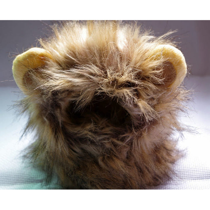 Løvemankene til katten din - LionPaws Skanto