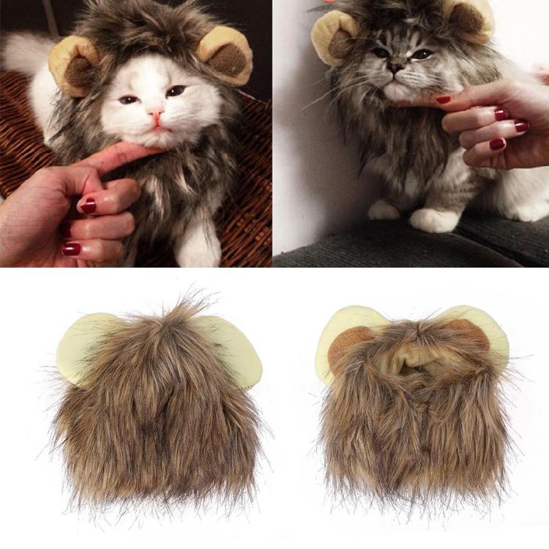 Løvemankene til katten din - LionPaws Skanto