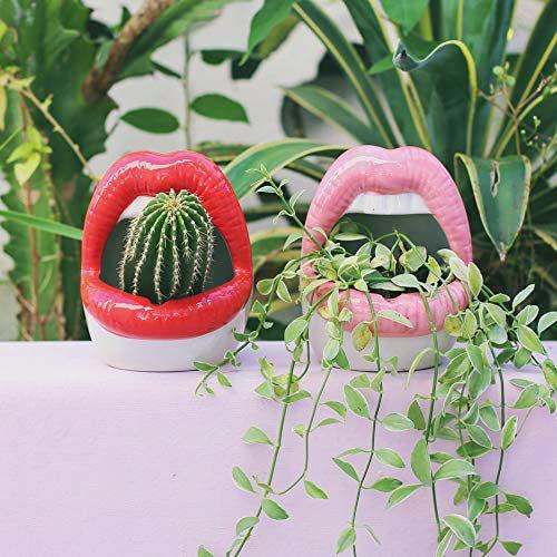 Skanto | Leppe Blomsterpotte