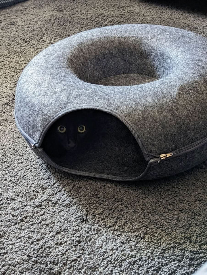 Skanto | PURRFECT DEN – Luksus Kattunnel med Sovehule & Lekegøy