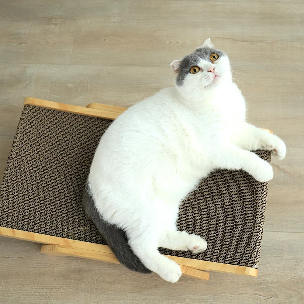 Luna Katt Klore Seng Skanto