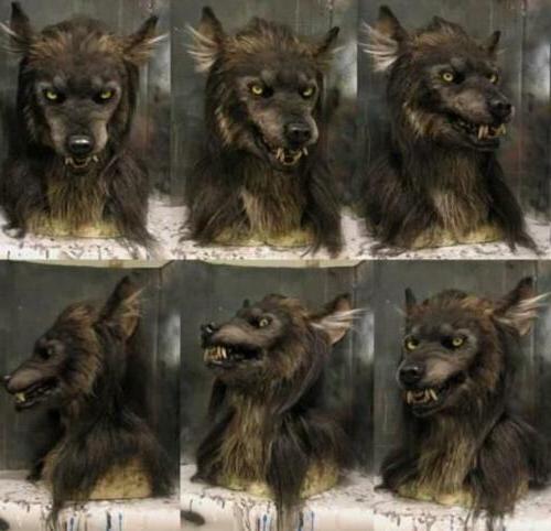 Skanto | LUPINMASK – Realistisk Ulvmaske for Halloween & Cosplay