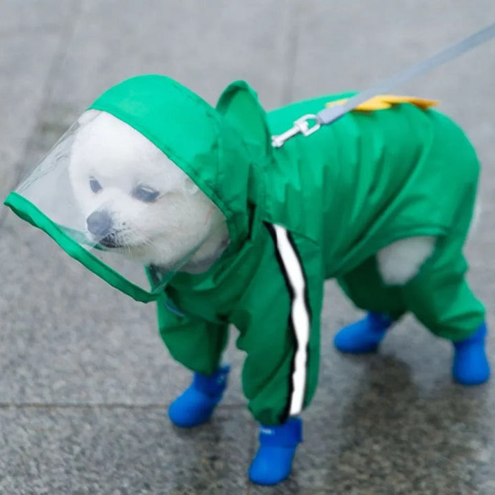 Skanto | Sjarmerende Bamse-tema Helkropp Hunderegntrekk med Reflekterende Sikkerhetsfunksjoner