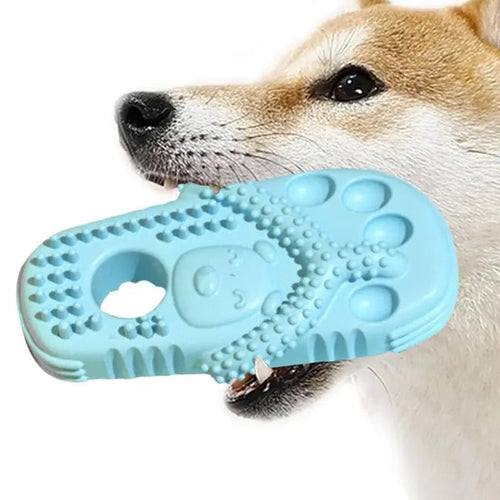 Chew Slippers for Dogs – FunPaws Skanto
