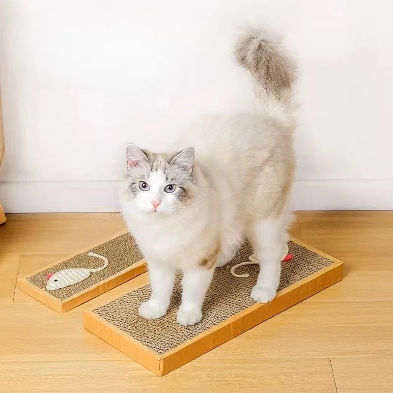 Katt Papp Matte Skraper Skanto