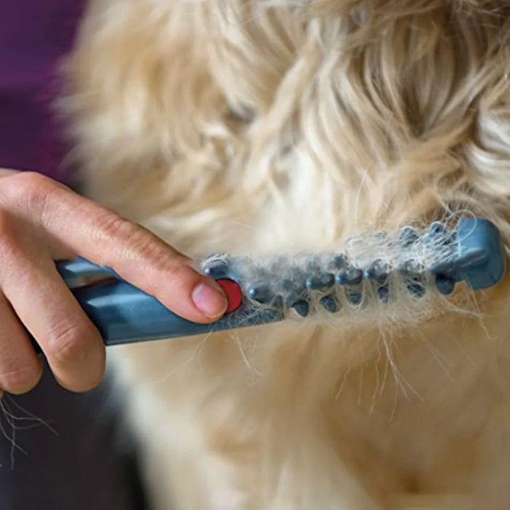 Electric Trimmer for Dogs and Cats – FellMeister Skanto