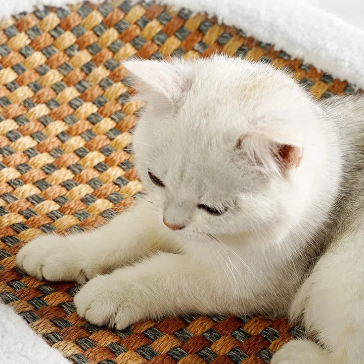 Skanto | Premium Katteng bed med integrert klorematte