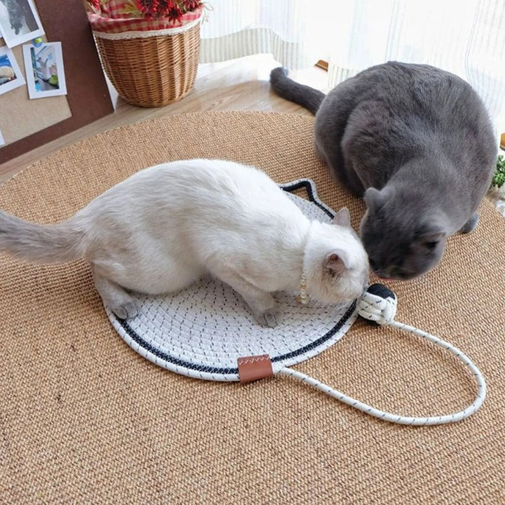 Katt Kloreleketøy Teppet Skanto
